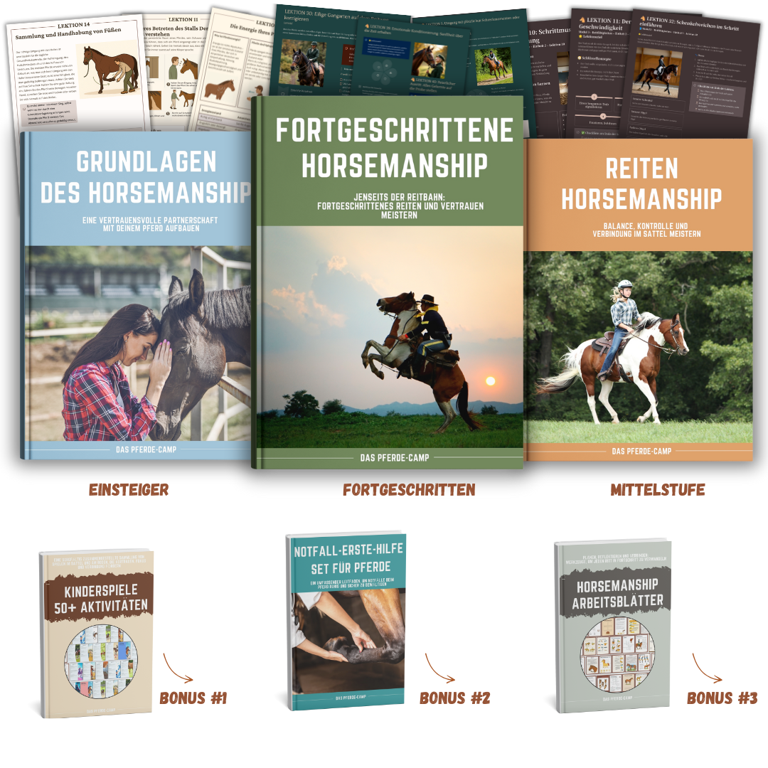 BIG MOCKUP INIZIO.png__PID:d1e39978-2ca3-44cd-a44b-648e9d2bb6fd