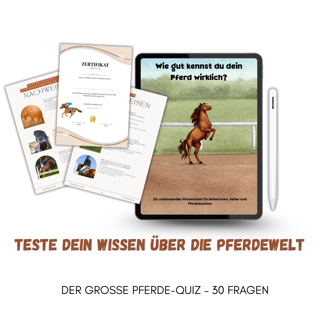 Das Reiter-Quiz