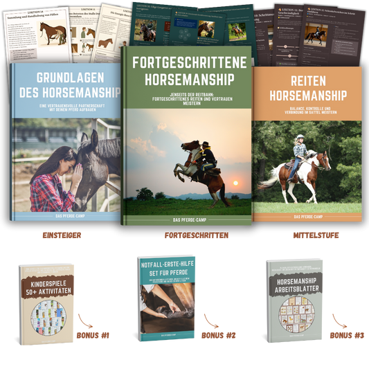 BIG MOCKUP INIZIO.png__PID:d1e39978-2ca3-44cd-a44b-648e9d2bb6fd