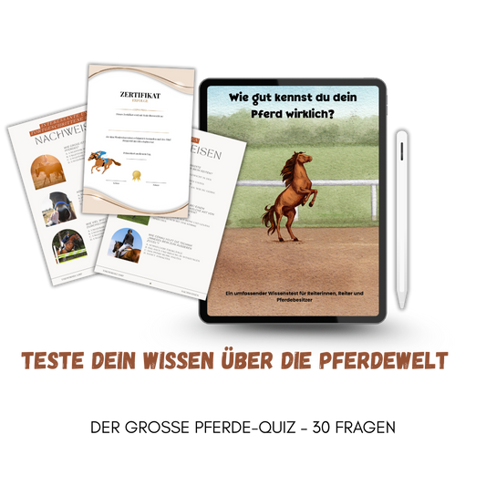 Das Reiter-Quiz